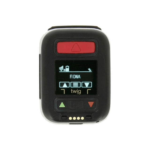 twig-neo-2 1-1