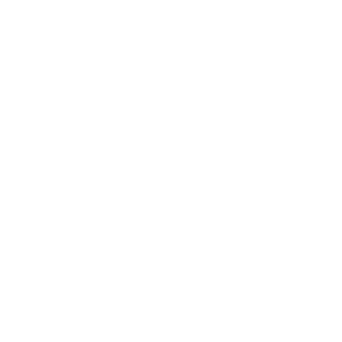 Kostenübernahme Hausnotruf Icon